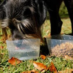 Comedero Plegable Mobowl -Trixie Tienda De Ventas 111118 texstar mobowl foldablebowl hs 02 9