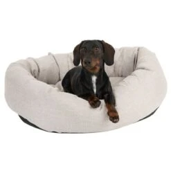 Cama Modern Living Bailey Para Perros 14 Cama Modern Living Bailey Para Perros -Trixie Tienda De Ventas 111544 hundebett baily fg 0614 5