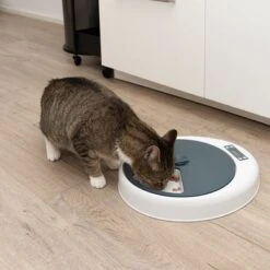 Alimentador Automático Noma 25 Alimentador Automático Noma -Trixie Tienda De Ventas 116296 futterautomat noma fg 9456 9