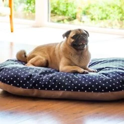 Cojín De Espelta Aumüller Para Perros -Trixie Tienda De Ventas 121697 aumueller dinkelkissen hs 05 3