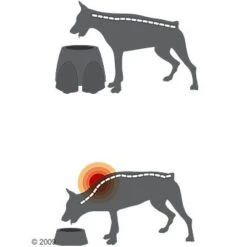 Comedero Alto Savic Ergo Feeder -Trixie Tienda De Ventas 125461 savic ergofeeder3 1