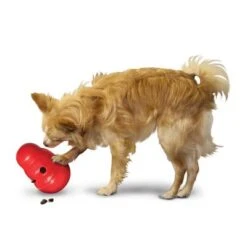 KONG Wobbler Para Snacks -Trixie Tienda De Ventas 1355067777031411080314 3