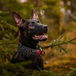 Rukka® Cube Soft Collar, Rojo / Negro 9 Rukka® Cube Soft Collar, Rojo / Negro -Trixie Tienda De Ventas 139798 lfashion rukka cube soft halsband rot hs 03 8