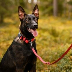 Rukka® Cube Soft Collar, Rojo / Negro 12 Rukka® Cube Soft Collar, Rojo / Negro -Trixie Tienda De Ventas 139798 lfashion rukka cube soft halsband rot hs 06 0