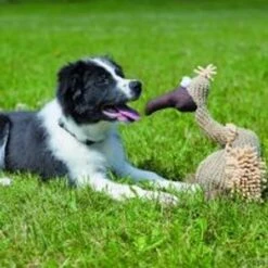 Buitre De Peluche Trixie Con Sonido 5 Buitre De Peluche Trixie Con Sonido -Trixie Tienda De Ventas 140050 trixie hundespielzeug geier gustav 2 4 0