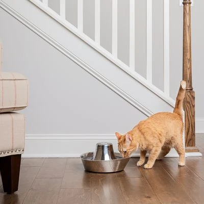 Bebedero Fuente Drinkwell Seaside De PetSafe De Acero 3 Bebedero Fuente Drinkwell Seaside De PetSafe De Acero - Imagen 3