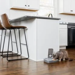 Comedero Automático Doble PetSafe® Para Mascotas -Trixie Tienda De Ventas 145997 rasiosystems petsafe futterautomat 2mahlzeiten catdog 2x355xml hs 11 4