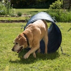 Túnel Agility Trixie -Trixie Tienda De Ventas 15686 trixie agility tunnel fg 23 7