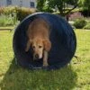 Túnel Agility Trixie