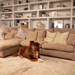 Pet Head Ditch The Dirt Champú Para Perros -Trixie Tienda De Ventas 159700 companyofanimals pethead ditchthedirt shampoo 300ml hs 06 9