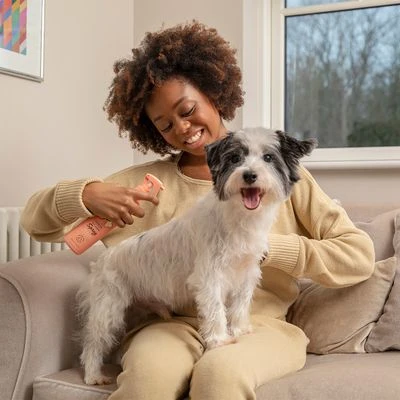 Pet Head Quick Fix Champú En Seco Para Perros 3 Pet Head Quick Fix Champú En Seco Para Perros - Imagen 3