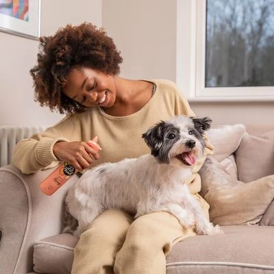 Pet Head Quick Fix Champú En Seco Para Perros 4 Pet Head Quick Fix Champú En Seco Para Perros - Imagen 4