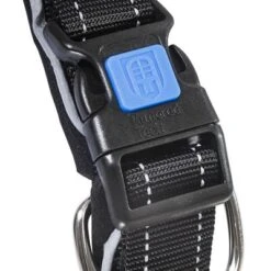 Collar ArmoredTech Dog Control Con Correa Corta Integrada Para Perros -Trixie Tienda De Ventas 173096 173097 173098 asaquaristik dogcontrol halsband schwarz hs 02 5