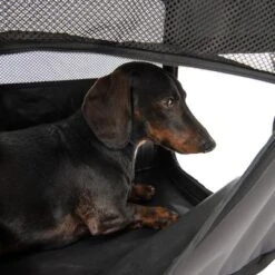 Caseta Plegable Fiona Para Mascotas -Trixie Tienda De Ventas 173100 faltbare hundekiste fiona fg 6338 4