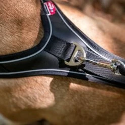 Arnés Curli Belka Comfort Negro Para Perros 18 Arnés Curli Belka Comfort Negro Para Perros -Trixie Tienda De Ventas 176034 curli belka comfort geschirr schwarz hs 10 7