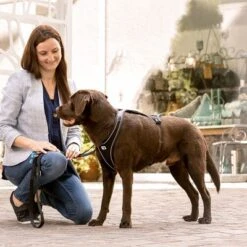 Arnés Curli Belka Comfort Negro Para Perros 22 Arnés Curli Belka Comfort Negro Para Perros -Trixie Tienda De Ventas 176034 curli belka comfort geschirr schwarz hs 11 2