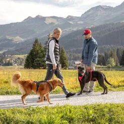 Arnés Curli Belka Comfort Negro Para Perros 14 Arnés Curli Belka Comfort Negro Para Perros -Trixie Tienda De Ventas 176034 curli belka comfort geschirr schwarz hs 12 7