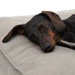 Cama Hamilton EcoLIFE Gris Para Perros 17 Cama Hamilton EcoLIFE Gris Para Perros -Trixie Tienda De Ventas 180715 hamilton ecolife grau fg 6400 5