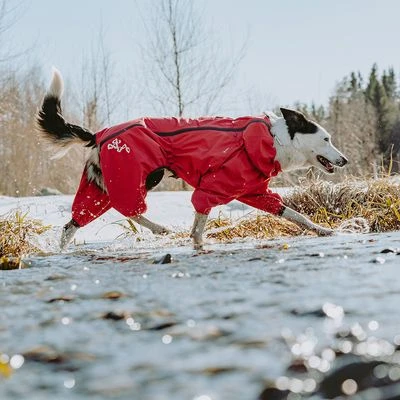 Chubasquero Bare Berry Hurtta Para Perros 9 Chubasquero Bare Berry Hurtta Para Perros - Imagen 9