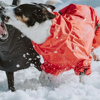 Chubasquero Bare Berry Hurtta Para Perros 10 Chubasquero Bare Berry Hurtta Para Perros - Imagen 10