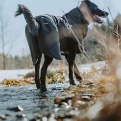 Chubasquero Bare Coal Hurtta Para Perros -Trixie Tienda De Ventas 188096 188096 186536 186537 186538 186539 186540 hurtta forzooplus bare regenmantel coal hs 10 0