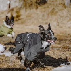 Chubasquero Bare Coal Hurtta Para Perros -Trixie Tienda De Ventas 188096 188096 186536 186537 186538 186539 186540 hurtta forzooplus bare regenmantel coal hs 12 3