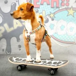 Arnés Max & Molly Cómic Para Perros 15 Arnés Max & Molly Cómic Para Perros -Trixie Tienda De Ventas 189999 186590 190000 maxnmolly h geschirr comic hs 03 8