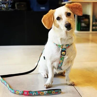 Correa Corta Max & Molly Donuts Para Perros 2 Correa Corta Max & Molly Donuts Para Perros - Imagen 2