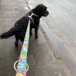 Arnés Max & Molly Donuts Para Perros 19 Arnés Max & Molly Donuts Para Perros -Trixie Tienda De Ventas 190296 190297 190396 maxnmolly hg eschirr donuts hs 05 6