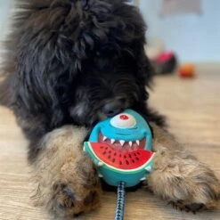 Max & Molly Bubba King Juguete De Látex Para Perros -Trixie Tienda De Ventas 191100 maxn molly kuscheltier spielzeug bubba king hs 04 5