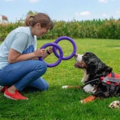 Ferplast Puller Juguete Para Perros 22 Ferplast Puller Juguete Para Perros -Trixie Tienda De Ventas 199296 ferplastitalien ferplast hundespielzeug puller midi 27cm hs 11 7