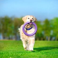 Ferplast Puller Juguete Para Perros 25 Ferplast Puller Juguete Para Perros -Trixie Tienda De Ventas 199296 ferplastitalien ferplast hundespielzeug puller midi 27cm hs 16 5