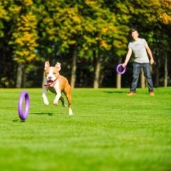 Ferplast Puller Juguete Para Perros 26 Ferplast Puller Juguete Para Perros -Trixie Tienda De Ventas 199296 ferplastitalien ferplast hundespielzeug puller midi 27cm hs 17 7