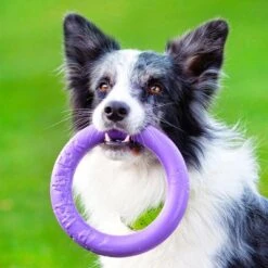 Ferplast Puller Juguete Para Perros 29 Ferplast Puller Juguete Para Perros -Trixie Tienda De Ventas 199297 ferplastitalien ferplast hundespielzeug puller midi 19cm hs 16 9