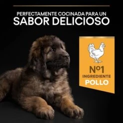 PURINA PRO PLAN Large Robust Puppy Healthy Start 15 PURINA PRO PLAN Large Robust Puppy Healthy Start -Trixie Tienda De Ventas 1 44142748 es es 221230 1 8