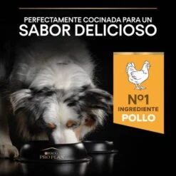 PURINA PRO PLAN Medium & Large Adult 7+ Age Defence 15 PURINA PRO PLAN Medium & Large Adult 7+ Age Defence -Trixie Tienda De Ventas 1 44152668 es es 221230 1 5