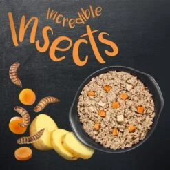 Greenwoods Insects Insectos Con Patatas Y Zanahorias -Trixie Tienda De Ventas 1 greenwoods insects board 2