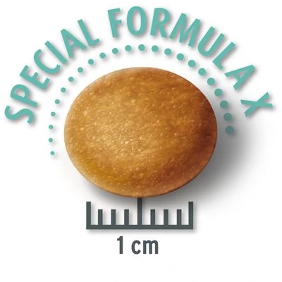 PROMO: Concept For Life Pienso Para Perros 12 + 1,5 Kg ¡gratis! 4 PROMO: Concept For Life Pienso Para Perros 12 + 1,5 Kg ¡gratis! - Imagen 4