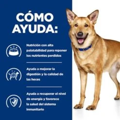 Hill's I/d Prescription Diet Digestive Care Estofado Para Perros 24 Hill's I/d Prescription Diet Digestive Care Estofado Para Perros -Trixie Tienda De Ventas 1 pd id dog bk33557 how helps es 5