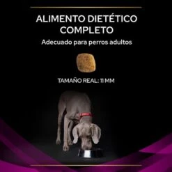 Purina UR Urinary Veterinary Diets Pienso Para Perros 17 Purina UR Urinary Veterinary Diets Pienso Para Perros -Trixie Tienda De Ventas 1 puppvdddppvur22ksizles 220629 1 1656985195811 0