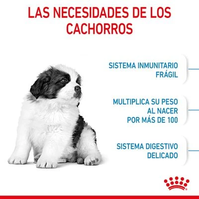 Royal Canin Giant Puppy 6 Royal Canin Giant Puppy - Imagen 6