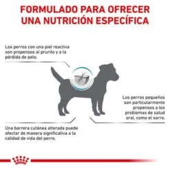 Royal Canin Veterinary Canine Skin Care Small Dog Pienso Para Perros 15 Royal Canin Veterinary Canine Skin Care Small Dog Pienso Para Perros -Trixie Tienda De Ventas 1 rc vet dry dogskincaresd cv eretailkit 8 es es 4