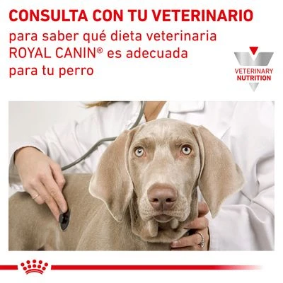Royal Canin Veterinary Canine Urinary S/O LP 18 Pienso Para Perros 6 Royal Canin Veterinary Canine Urinary S/O LP 18 Pienso Para Perros - Imagen 6