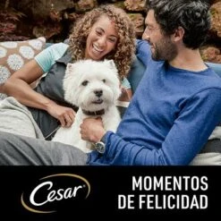 Cesar En Tarrinas 24 X 150 G - Megapack 11 Cesar En Tarrinas 24 X 150 G - Megapack -Trixie Tienda De Ventas 2022 04 cesar naturalgoodness claim 1000x1000 es 0