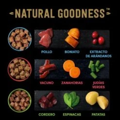 Cesar Natural Goodness Latas Para Perros 16 Cesar Natural Goodness Latas Para Perros -Trixie Tienda De Ventas 2022 04 cesar naturalgoodness ingredients 1000x1000 es 2
