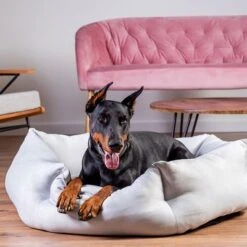 Cama Alexandria Modern Living Para Perros 19 Cama Alexandria Modern Living Para Perros -Trixie Tienda De Ventas 203426 203425 geop zooplusexclusive hundebett alexandria hs 14 7