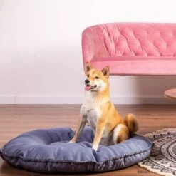 Cama Kapstadt 2 En 1 Modern Living Para Mascotas 15 Cama Kapstadt 2 En 1 Modern Living Para Mascotas -Trixie Tienda De Ventas 203436 geop katzenbett kapstadt 2in1 hs 01 1