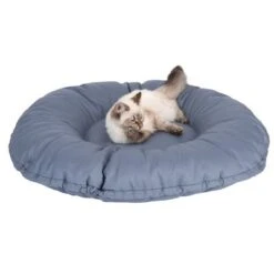 Cama Kapstadt 2 En 1 Modern Living Para Mascotas 14 Cama Kapstadt 2 En 1 Modern Living Para Mascotas -Trixie Tienda De Ventas 203436 kapstadt und katze fg 9820 4