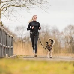 Correa De Jogging Con Cinturón Trixie Gris Y Negra Para Perros 15 Correa De Jogging Con Cinturón Trixie Gris Y Negra Para Perros -Trixie Tienda De Ventas 203777 trixie jogginggurt leine grauschwarz hs 13 6