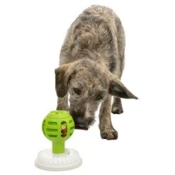 Trixie Licking Ball Pelota Rellenable Para Perros 15 Trixie Licking Ball Pelota Rellenable Para Perros -Trixie Tienda De Ventas 209078 trixie licknsnack ball hs 08 1